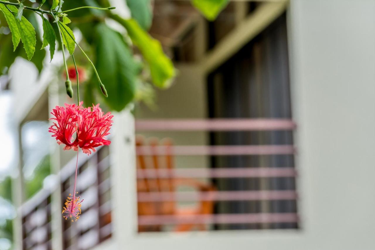 Sea Tower Hotel Puerto Viejo de Talamanca Zewnętrze zdjęcie