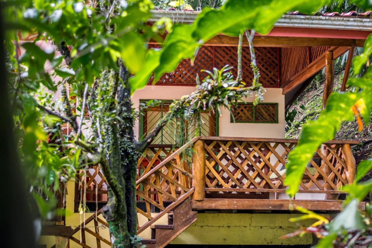 Sea Tower Hotel Puerto Viejo de Talamanca Zewnętrze zdjęcie