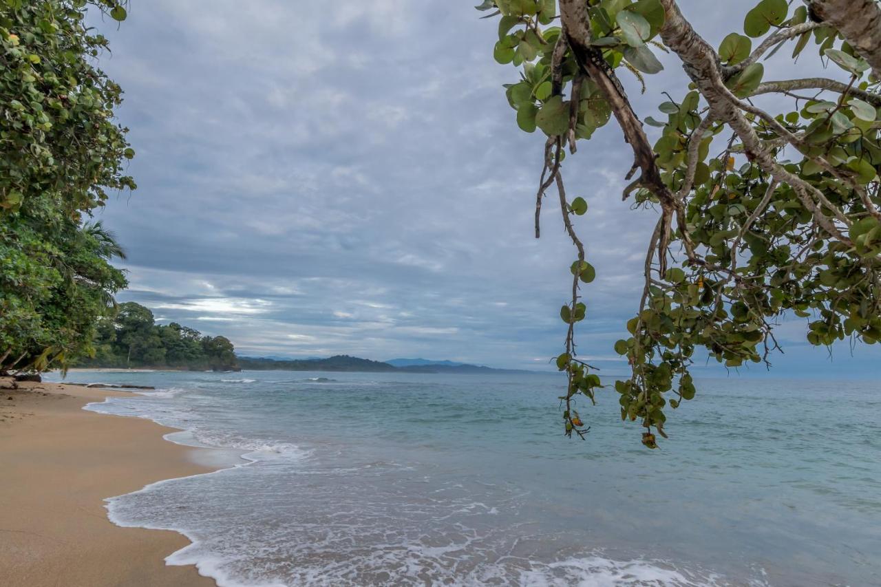 Sea Tower Hotel Puerto Viejo de Talamanca Zewnętrze zdjęcie